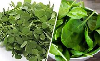 Health Tips : ਪਾਲਕ ਜਾਂ ਮੇਥੀ, ਤੁਹਾਡੀ ਸਿਹਤ ਲਈ ਕੀ ਹੈ ਜ਼ਿਆਦਾ ਫਾਇਦੇਮੰਦ, ਜਾਣੋ ਕਿਸ ਦੇ ਕਿੰਨੇ ਨੇ ਹੈਲਥ ਬੈਨੇਫਿਟਸ