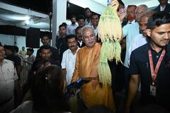 In Photos: गोवर्धन पूजा में अपने गांव पहुंचे सीएम भूपेश बघेल, गौ पूजा के साथ देखें उनके स्वागत की तस्वीरें