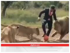 शेरों के साथ फुटबॉल खेलते नजर आया एक शख्स, वीडियो ने उड़ा दिए लोगों के होश