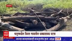 Akola Special Report : अंत्यसंस्कारासाठी गाव गोळा झालं आणि तरुण उठून बसला, विवरा गावातील घटना