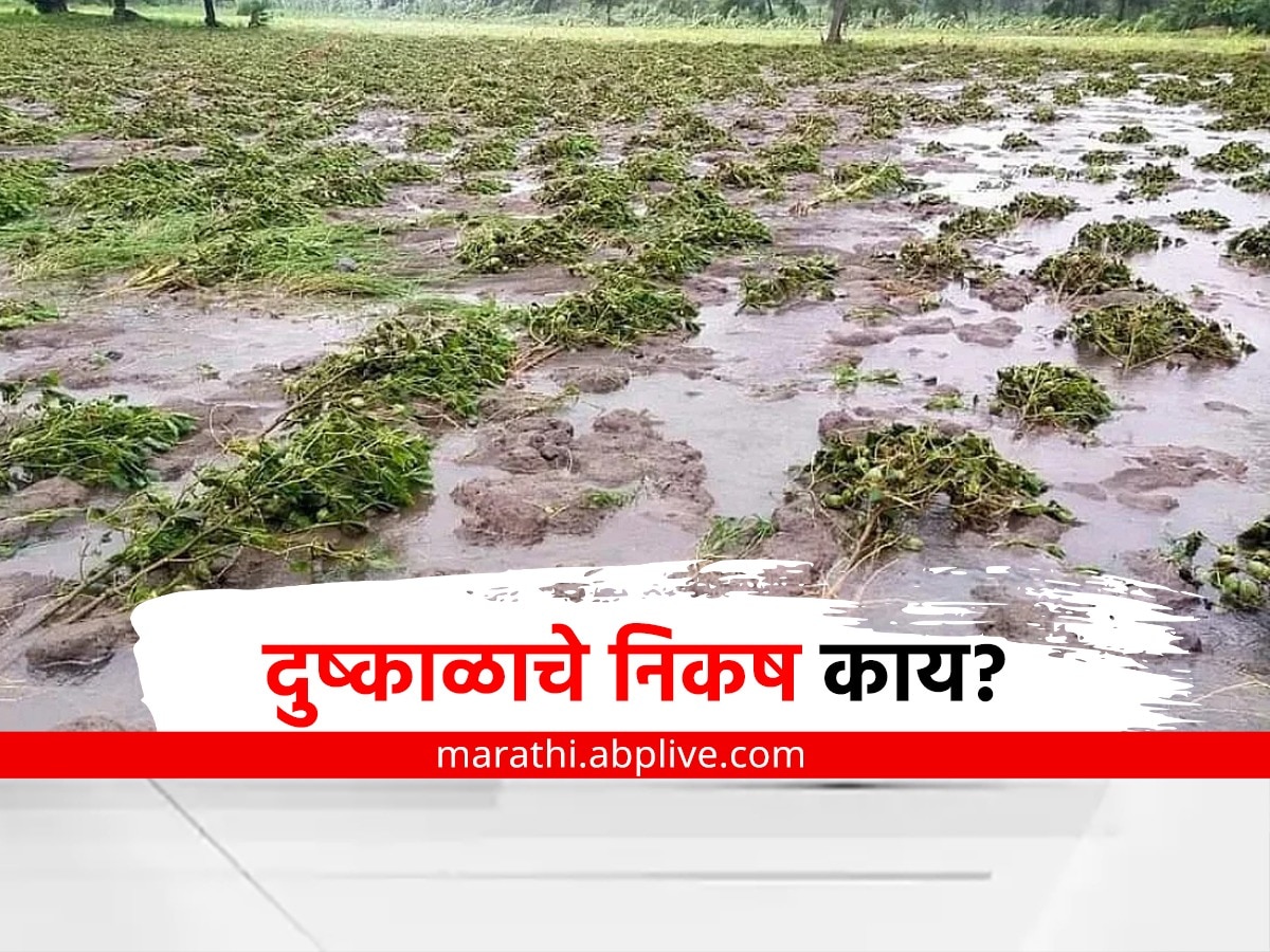 Wet drought : ओला दुष्काळ म्हणजे काय? दुष्काळ जाहीर करण्याचे निकष काय? 