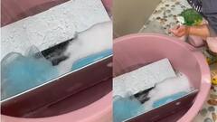 ল্যাপটপে এত নোংরা কেন? প্রশ্ন শুনেই সাবানজলে মেশিন মুছল মেয়ে, মাথায় হাত বাবার