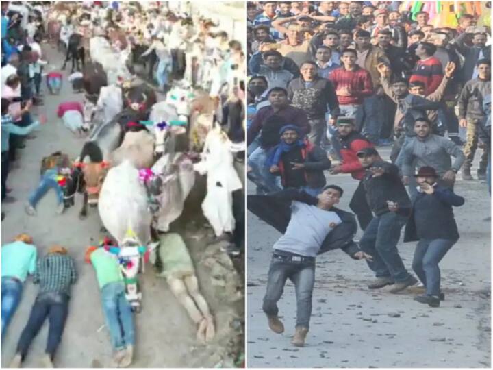 लोक परंपरा के नाम पर अंधविश्वास का खूनी खेल, कहीं होती है पत्थरबाजी तो कहीं इंसानों को रौंदते जानवर Superstition game on name of folk tradition stone pelting to animal trampling humans लोक परंपरा के नाम पर अंधविश्वास का खूनी खेल, कहीं होती है पत्थरबाजी तो कहीं इंसानों को रौंदते जानवर