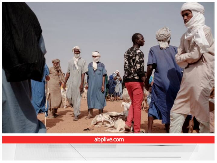 मॉरिटानिया (MAURITANIA): मॉरिटानिया की आबादी लगभग 39 लाख है. मॉरिटानिया के पास कुल सैनिकों की सांख्य 16 हजार है . इस देश के पास कुल 26 विमान और चार अटैक हेलीकॉप्टर हैं. इसके अलावा मॉरिटानिया के पास अपने खुद के 35 लड़ाकू टैंक भी हैं. मॉरिटानिया का क्षेत्रफल 10 लाख किलोमीटर है.