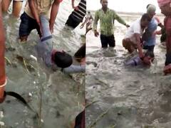 बिहार में तीन लुटेरों को ग्रामीणों ने बेरहमी से पीटा, एक को पानी में डुबाकर मार डाला, वीडियो वायरल