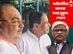 ‘মুকুল-শোভনের শরণাপন্ন হওয়া মমতার দুর্বলতারই লক্ষণ’, বললেন সুজন