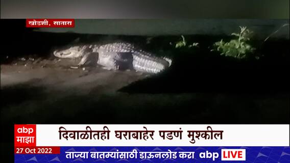 Satara : अखेर खोडशी गावातील नऊ फुटी मगर पकडली