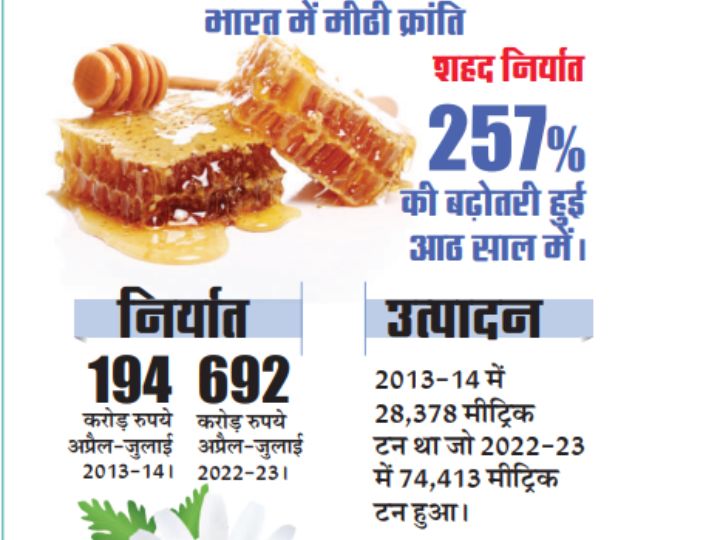 विदेशी बाजार में भारतीय सामानों की धूम, आजादी के बाद 600 गुना बढ़ा निर्यात