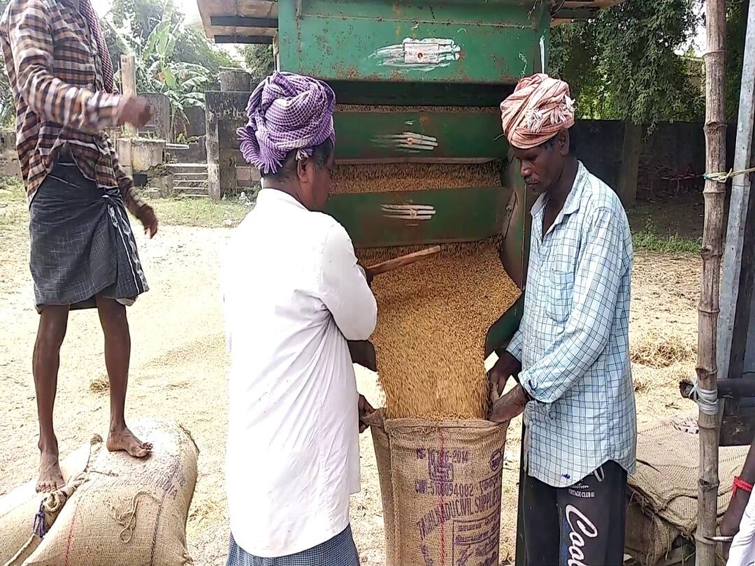 திருவாரூர்: குறுவை சாகுபடி மூலம் ஒரு லட்சத்து 66 ஆயிரம் மெட்ரிக் டன் நெல் கொள்முதல்