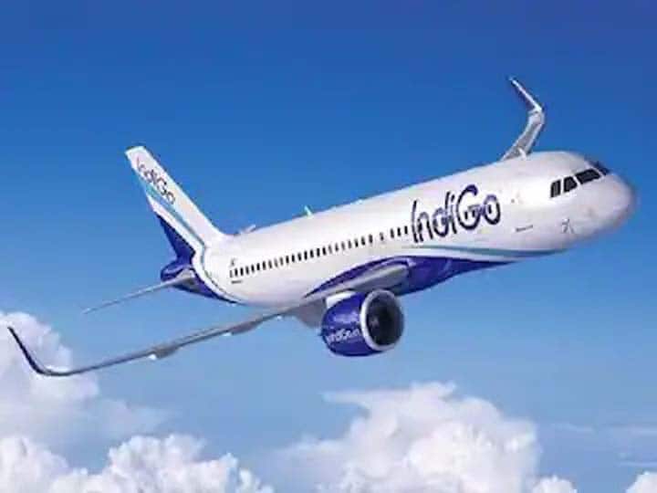IndiGo flight 6E-2131 from Delhi to Bangalore grounded at Delhi airport after a suspected spark in the aircraft IndiGo Flight Grounded: દિલ્હીથી બેંગ્લોર જતી ઈન્ડિગોની ફ્લાઈટમાં સ્પાર્ક જોવા મળતા મુસાફરોના જીવ પડીકે બંધાયા