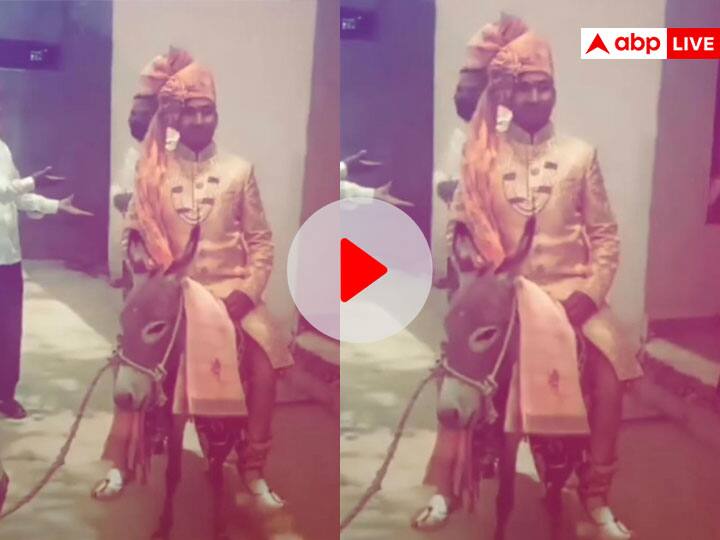 Groom sits on Donkey instead of horse in wedding hilarious viral video Video: घोड़ी नहीं मिली तो गधे पर बैठा दूल्हा, ऐसी अनोखी बारात देखकर हंसी नहीं रुकेगी