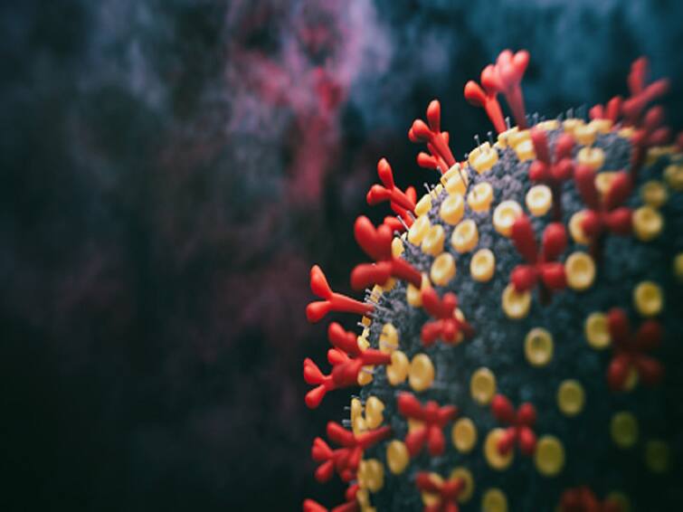 UK Covid Outbreak Two new Covid variants found in UK with hundreds of cases detected know details Two New Immune-Evasive Covid-19 Variants Found In UK, Over 700 Cases Detected