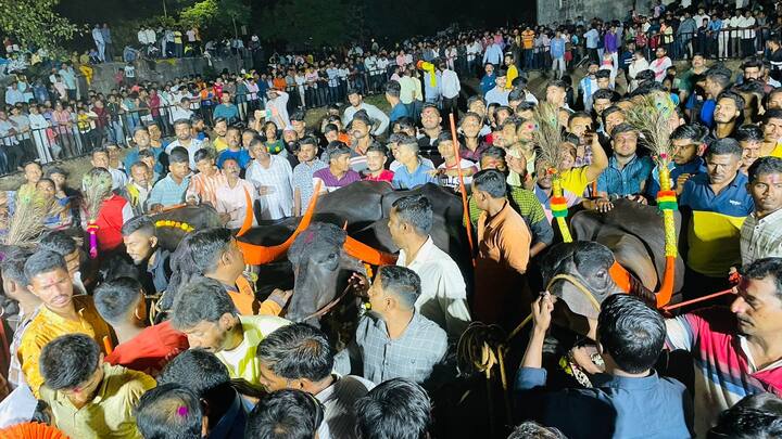 अनेक गवळी या कार्यक्रमांसाठी नटवून आणतात.