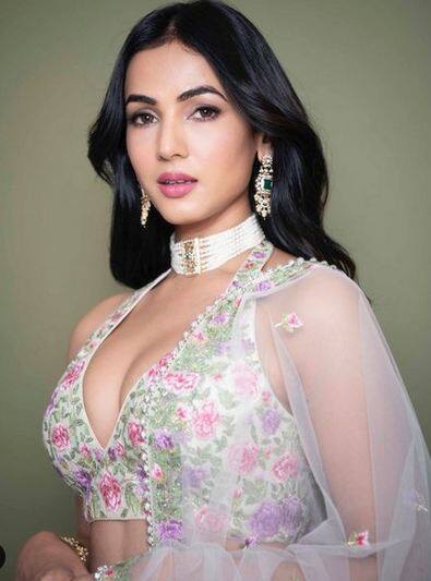 ਕਿਉਂਕਿ ਇਨ੍ਹਾਂ ਤਸਵੀਰਾਂ 'ਚ ਸੋਨਲ ਆਪਣੇ ਖੂਬਸੂਰਤ ਲੁੱਕ ਨੂੰ ਦਿਖਾ ਰਹੀ ਹੈ, ਇਸ ਲਈ ਇਕ ਨੇਟਿਜ਼ਨ ਨੇ ਕਮੈਂਟ 'ਚ ਲਿਖਿਆ...'ਭਾਰਤੀ ਸੱਭਿਆਚਾਰ ਨਾਲ ਅਸ਼ਲੀਲਤਾ ਨਾ ਫੈਲਾਓ'