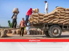 आलू-टमाटर के उत्पादन में 5% तक गिरावट, 2.3 फीसदी तक कम गेहूं का उत्पादन, क्या कहते हैं सरकारी आंकड़े