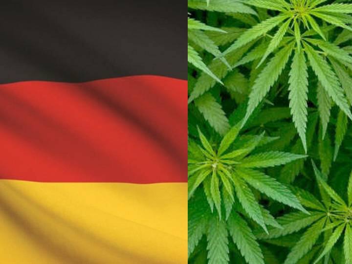 German government plans to legalize recreational cannabis for adults मौज- मस्ती के लिए इस देश में भांग होने जा रहा है लीगल, जानिए कब से होगा लागू