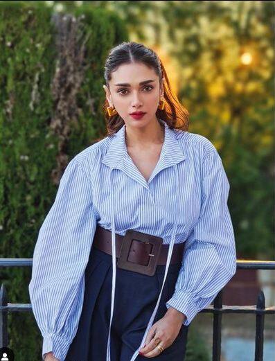 Aditi Rao Hydari: ਅਦਿਤੀ ਰਾਓ ਹੈਦਰੀ ਫਿਲਮ ਜਗਤ ਦਾ ਜਾਣਿਆ-ਪਛਾਣਿਆ ਨਾਂ ਹੈ। ਅਦਿਤੀ ਨੇ ਹਿੰਦੀ ਅਤੇ ਤਾਮਿਲ ਸਿਨੇਮਾ ਵਿੱਚ ਕਈ ਫਿਲਮਾਂ ਕੀਤੀਆਂ ਹਨ। ਆਪਣੇ ਵੱਖਰੇ ਲੁੱਕ ਕਾਰਨ ਉਹ ਫਿਲਮਾਂ 'ਚ ਵੱਖਰੀ ਨਜ਼ਰ ਆਉਂਦੀ ਹੈ।