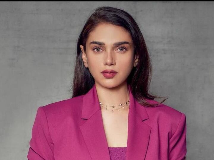अदितीच्या 'पद्मावत' चित्रपटातील अभिनयाचं अनेकांची कौतुक केलं.(Aditi Rao Hydari/instagram)