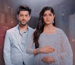 ‘स्वरण घर’ ही नहीं, ये टीवी सीरियल्स भी नहीं छू पाए दर्शकों का दिल, एक साल के अंदर ही करना पड़ा बंद