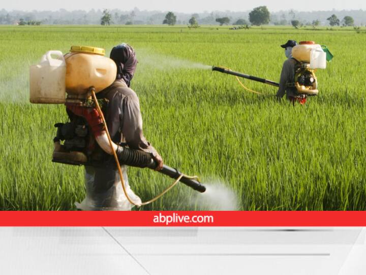 Government Imposed Ban on Glyphosate weed control chemical due to health and safety concerns Glyphosate Ban: फसल पर ये दवा नहीं छिड़क पायेंगे किसान, सरकार ने लगा दिया प्रतिबंध, जानिए क्या है कारण