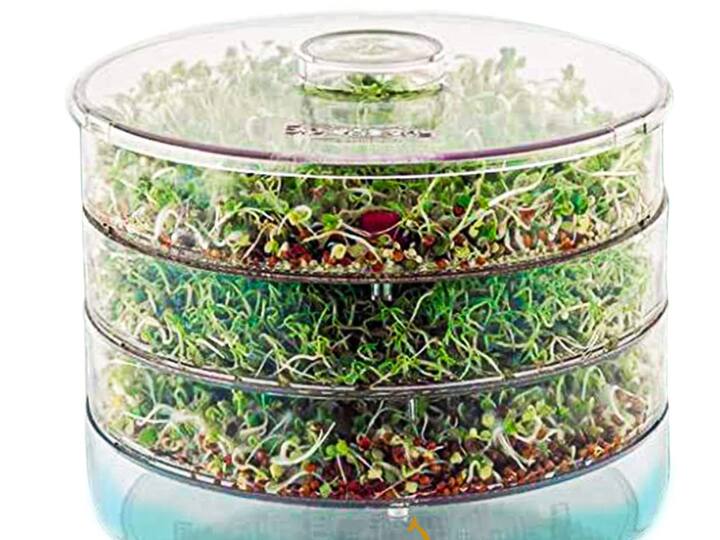 Amazon Sale On Sprout Maker Is Sprout Maker Useful How To Make Sprout In Sprout Maker Under 500 Healthy Breakfast Item Amazon Deal: एक बार सिर्फ 299 रुपये खर्च करें और हर दिन बिना झंझट के बनायें हेल्दी स्प्राउट