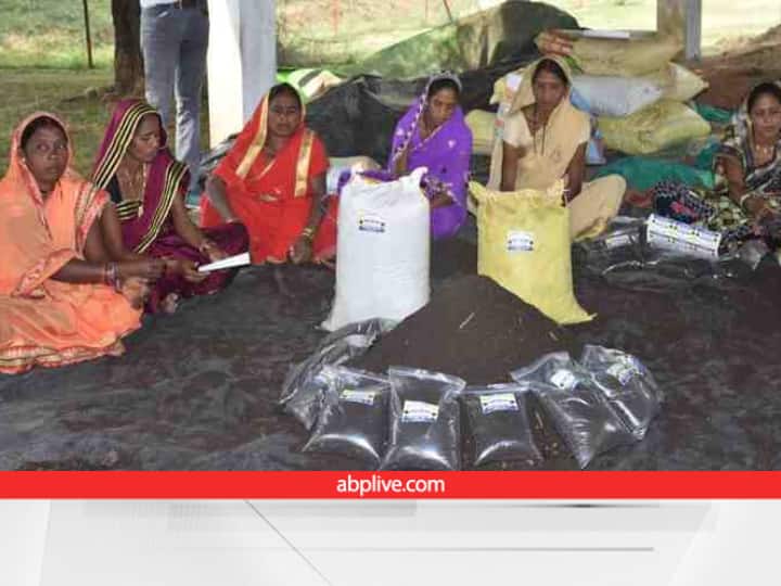 Godhan Nyay Yojana: गौठान से जुड़ी है महिलाओं की तरक्की, गोबर-कंपोस्ट बेचकर कमा रहीं है अच्छा मुनाफा Rural women earning livelihood by selling dung-compost from Gothans under Godhan Nyan Yojana Godhan Nyay Yojana: गौठान से जुड़ी है महिलाओं की तरक्की, गोबर-कंपोस्ट बेचकर कमा रहीं है अच्छा मुनाफा