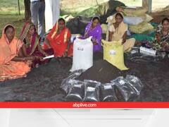 गौठान से जुड़ी है महिलाओं की तरक्की, गोबर-कंपोस्ट बेचकर कमा रहीं है अच्छा मुनाफा