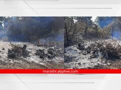 Aurangabad: पंचनामे होत नसल्याने कृषिमंत्र्यांच्या मतदारसंघातील शेतकऱ्याने फळबाग पेटवून दिली