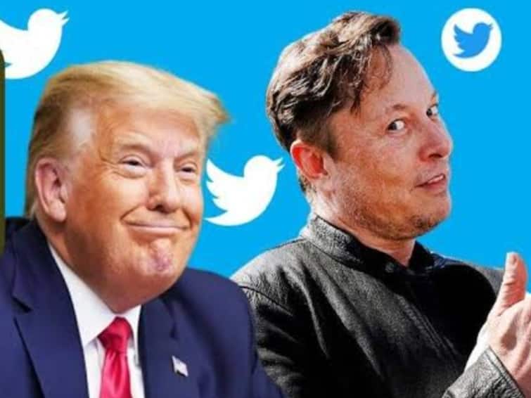 I am very happy that Twitter is now in sane hands and will no longer be run by Radical Left said Trump Trump about Elonmusk : 