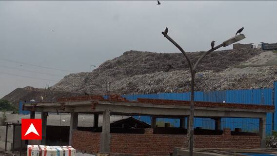 Delhi MCD Election: AAP का 'कूड़ा' जीतेगा या BJP की 'यमुना में गंदगी' ?