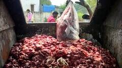 Nellore Decomposed Chicken| ఈ చికెన్ చూస్తే..జన్మలో హోటళ్లలో బిర్యానీ తినరు | ABP Desam