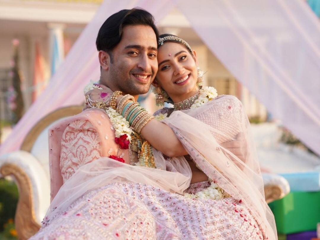 Shaheer Sheikh features in peppy wedding track Main Tenu Chadh Jaungi for the first time Shaheer Sheikh: ফের ছাদনাতলায় অভিনেতা শাহীর শেখ? মুক্তির অপেক্ষায় নতুন মিউজিক ভিডিও