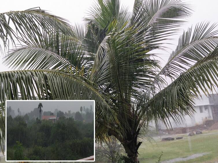 Incessant rains in puducherry and Villupuram districts floods overflowed the roads TNN புதுவை,விழுப்புரம் மாவட்டத்தில் தொடர் மழை - சாலைகளில் பெருக்கெடுத்து ஓடிய வெள்ளம்