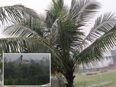 புதுவை,விழுப்புரம் மாவட்டத்தில் தொடர் மழை - சாலைகளில் பெருக்கெடுத்து ஓடிய வெள்ளம்