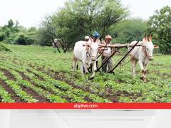 उर्वरक-कीटनाशक नहीं, इन 4 चीजों से होती है इको फ्रैंडली खेती