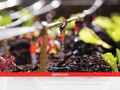 इस तकनीक से सिंचाई करने के लिए 90% सब्सिडी देगी बिहार सरकार, ऐसे उठाएं लाभ