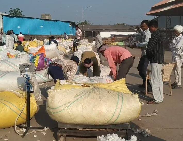 Gujarat Agriculture News: Farmers gets good price of cotton and groundnut at Kalawad APMC Gujarat Agriculture News: સૌરાષ્ટ્રના આ APMCમાં કપાસનો મણનો ભાવ 1850 બોલાયો, જણસી વેચવા ખેડૂતોએ લગવી લાઇન