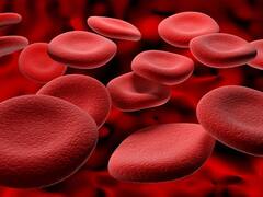 Healthy Food Habit :ரத்தத்தை சுத்திகரிக்கும் உணவுகள்! என்னன்னு தெரியுமா?