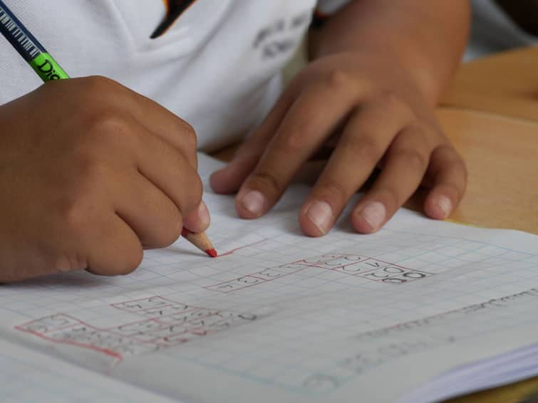 Viral Video boy starts crying while teaching math to little sister Viral Video: বোনকে অঙ্ক শেখাতে গিয়ে হাপুস নয়নে কান্না দাদার, দেখে নিন মজার ভাইরাল ভিডিও