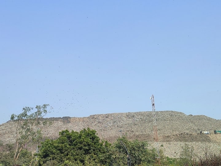 Delhi Municipal Corporation claims Ghazipur Bhalswa Okhla landfill site finished by 2024 December ANN कूड़े पर सियासत के बीच Delhi नगर निगम का बड़ा दावा, इस दिन तक खत्म हो जाएंगी तीनों लैंडफिल साइट