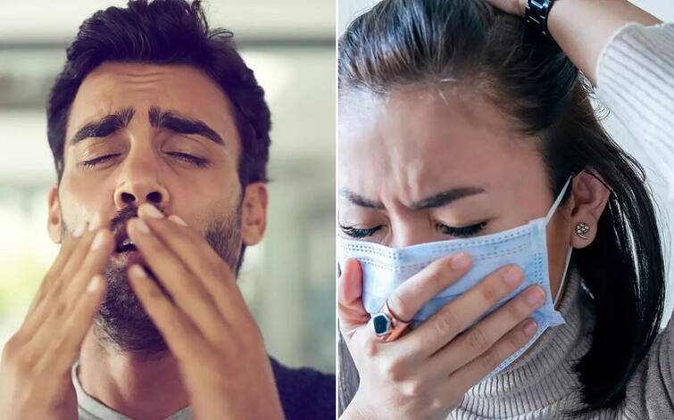 Viral Disease: covid-flu or common cold, what happened; Identify it like this Viral Disease : ਕੋਵਿਡ-ਫਲੂ ਜਾਂ ਆਮ ਜ਼ੁਕਾਮ, ਹੋਇਆ ਕੀ ਹੈ ; ਇਸ ਤਰ੍ਹਾਂ ਕਰੋ ਇਸਦੀ ਪਛਾਣ