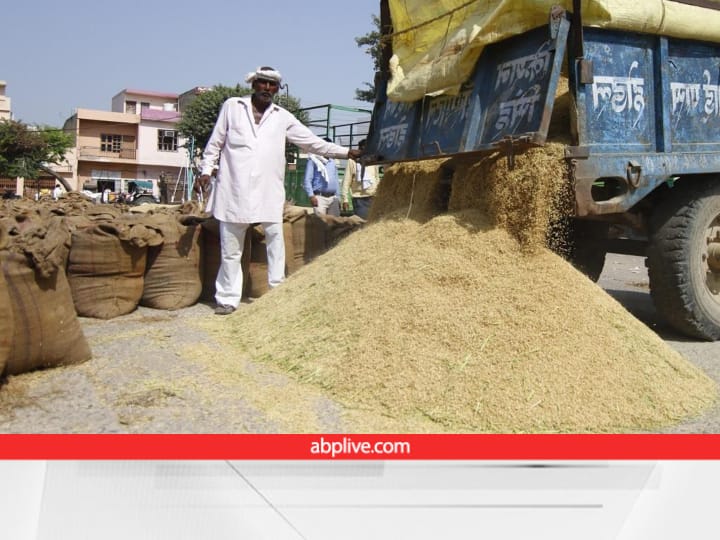 7 lakh metric tonnes of paddy is coming to the mandis of Punjab every day Paddy Procurement: पंजाब की मंडियों में हर दिन 7 लाख मीट्रिक टन आ रहा धान, ऐसे काम कर रहा मैनेजमेंट