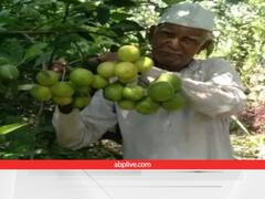 आप थोड़ा अलग सोचिए.....70 साल के किसान ने विलुप्त होने से बचाईं सब्जियां, सरकार ने दिए 11 नेशनल अवॉर्ड