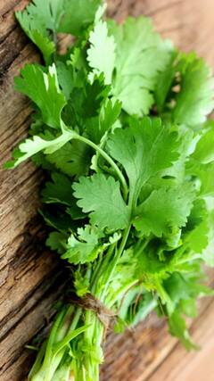 Healthy Food Habit :ரத்தத்தை சுத்திகரிக்கும் உணவுகள்! என்னன்னு தெரியுமா?