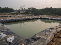 Chhath Puja 2022: Preparations In Delhi As Hindu Devotees Set To Offer First Arghya Today — IN PICS