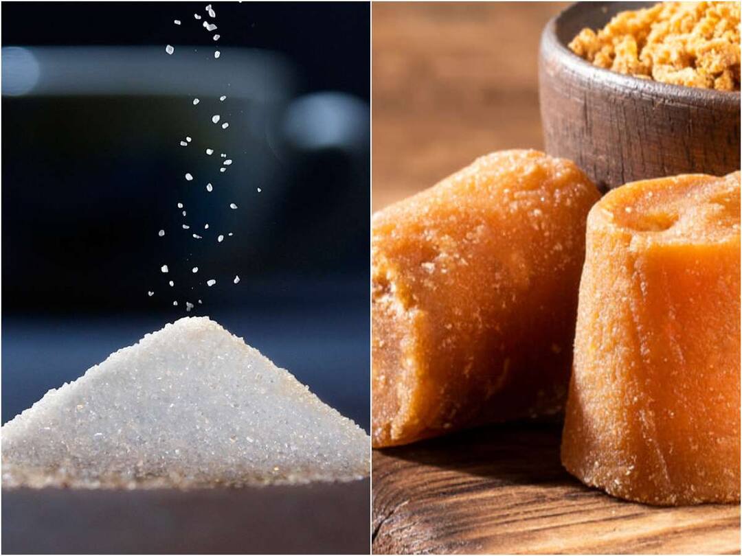 Replacing sugar with jaggery is good for health Sugar or Jaggery