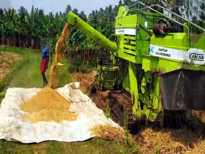 A bundle of 606 paddy weighing 62 kg costs Rs.1250 and RNR. A bundle of paddy is sold for Rs.1350 தேனி: ஆர்.என்.ஆர். ரக நெல் மூட்டை ரூ.1350-க்கு விற்பனை