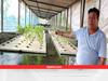 Aquaponic Farming: मछलियों के साथ पानी में उगाई जा रहीं सब्जियां, पद्मश्री किसान के Idea ने दोबारा किया कमाल