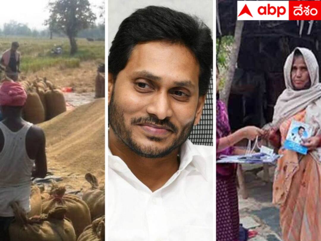 The government has also given the responsibility of grain collection to village volunteers in AP. Andhra grama volunteers : ఏపీలో గ్రామ వాలంటీర్లకు మరో రూ. 1500 - కానీ ఆ పని చేస్తేనే !