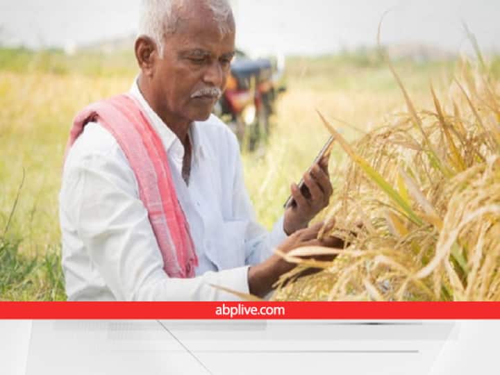 Paddy procurement started in Chhattisgarh 1.67 new farmers registered on the portal Paddy Procurement: छत्तीसगढ़ में धान खरीद शुरू, 1.67 लाख नए किसानों ने पोर्टल पर कराया पंजीकरण